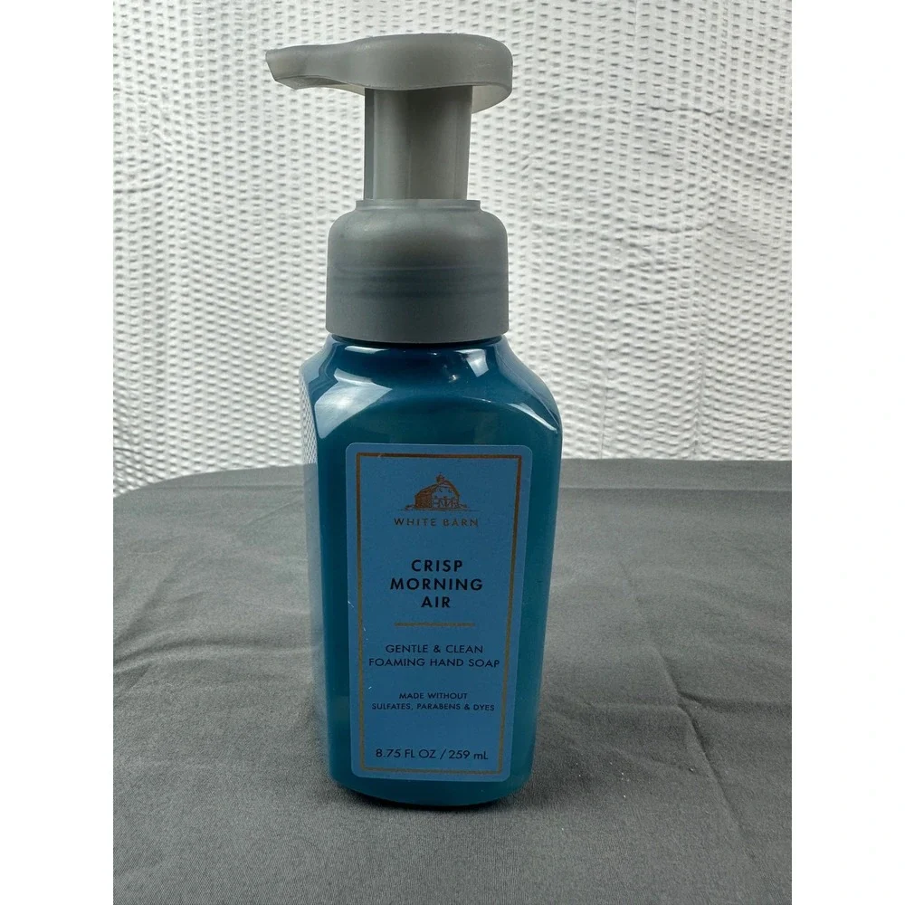 Bath & Body Works Crisp Morning Air Gentle Foaming Hand Soap 8.75 oz